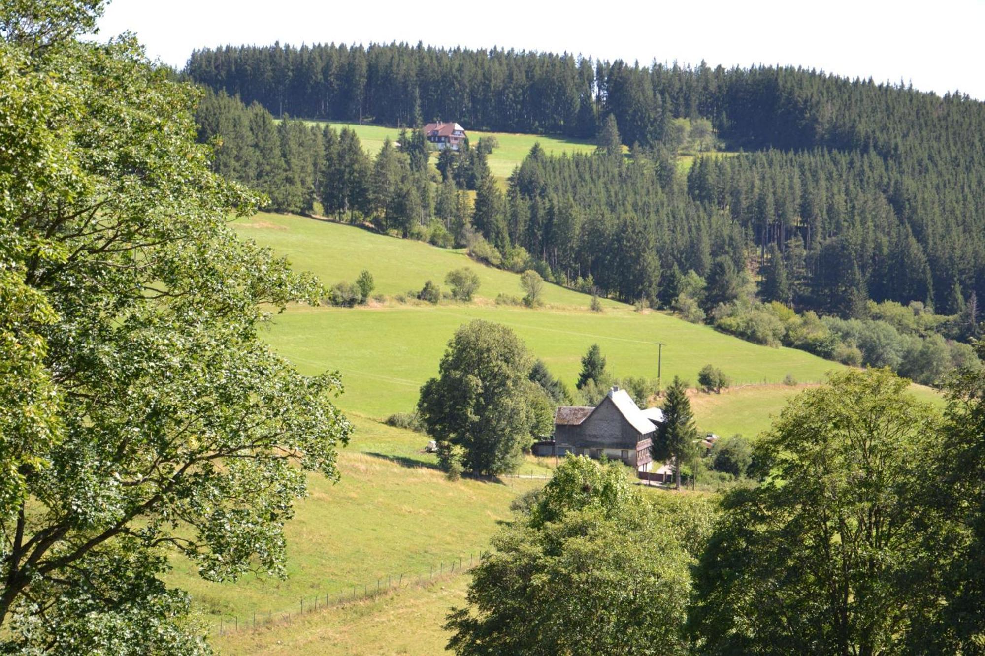 Ferienwohnung beim Pauli Titisee-Neustadt Exterior foto